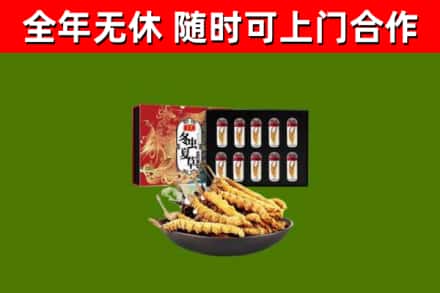 青山湖回收冬虫夏草价格